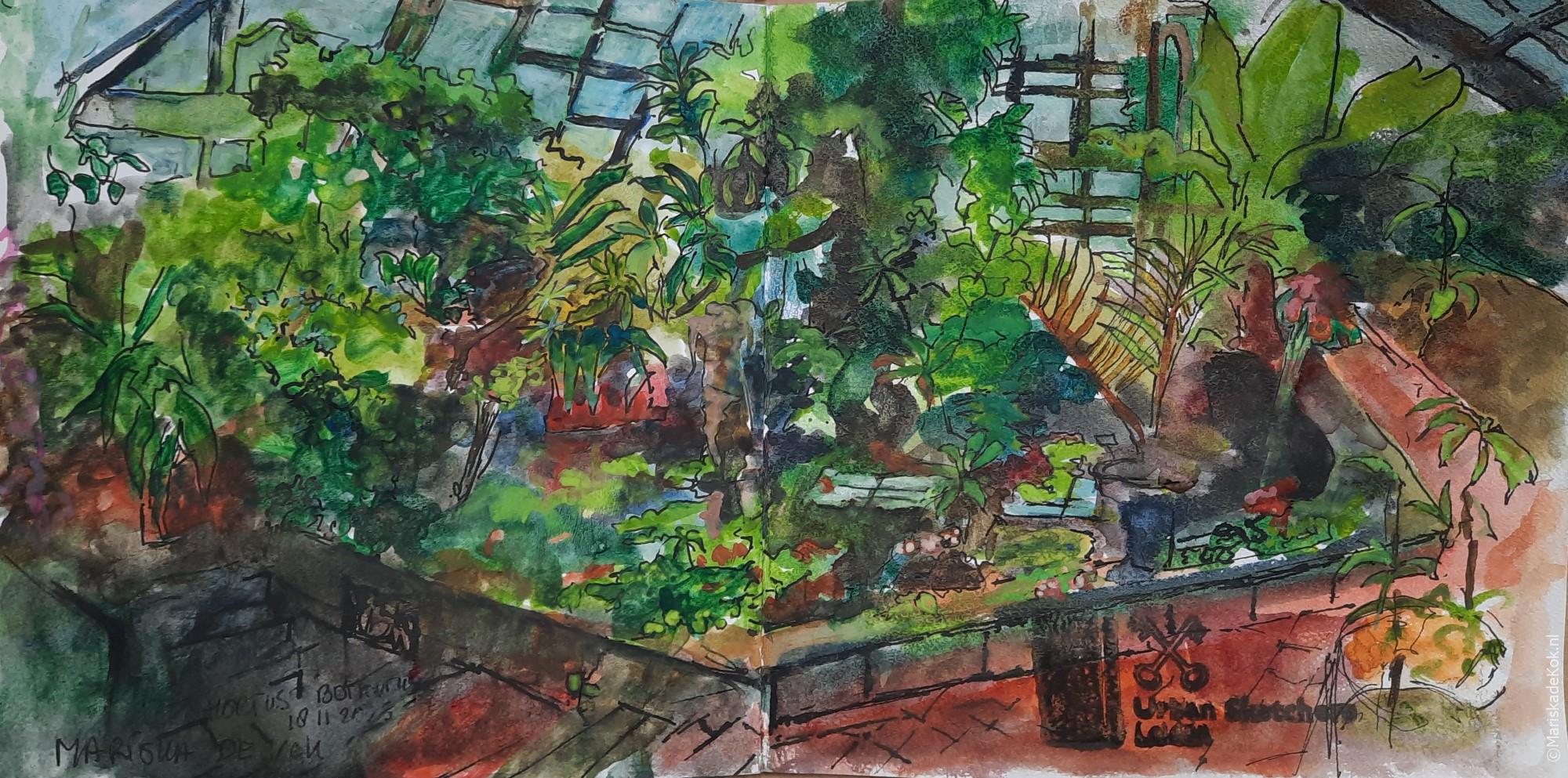 Groen, groen en nog meer groen. Hortus Botanicus Leiden – Urbansketching