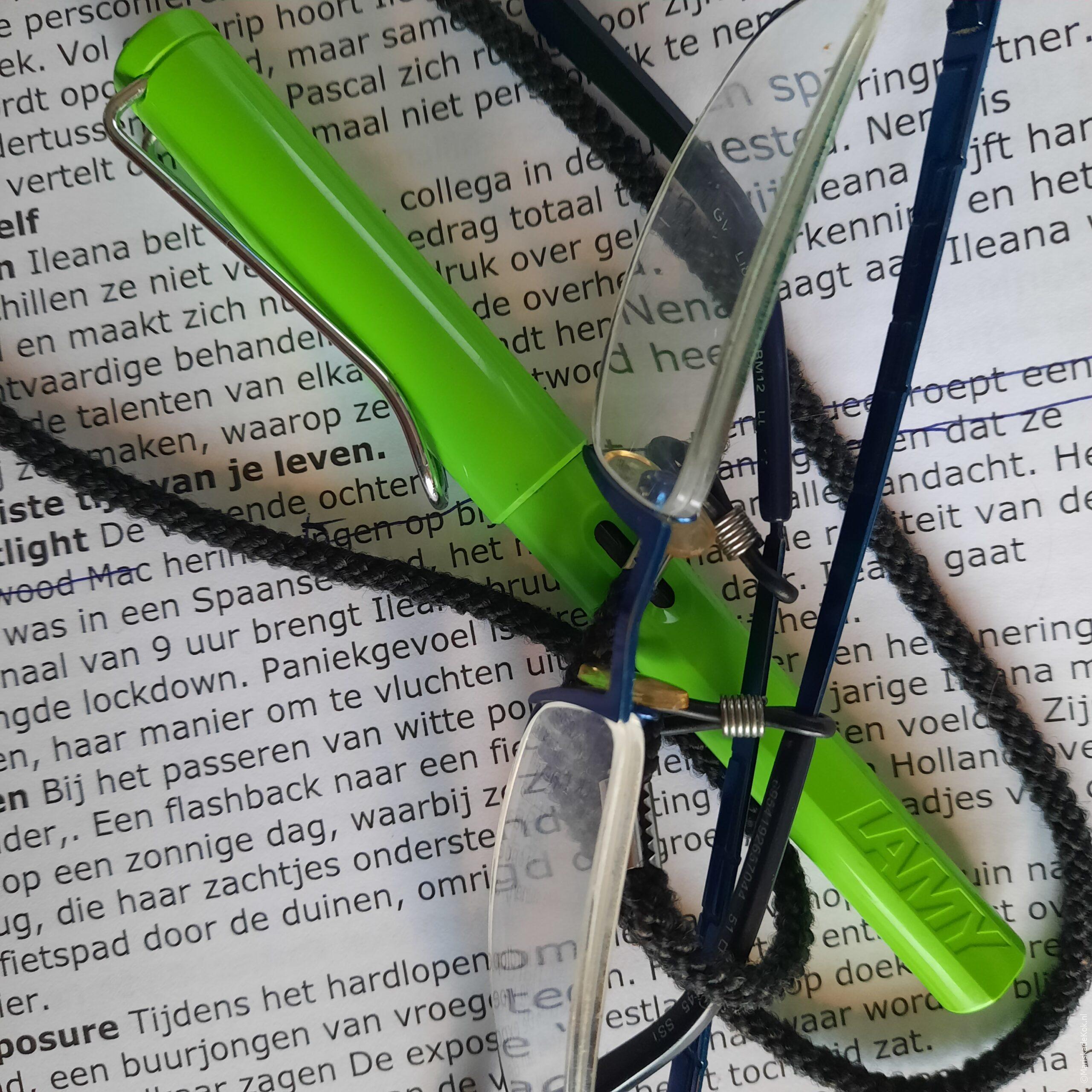 Elevator pitch ‘Het geschreven portret’