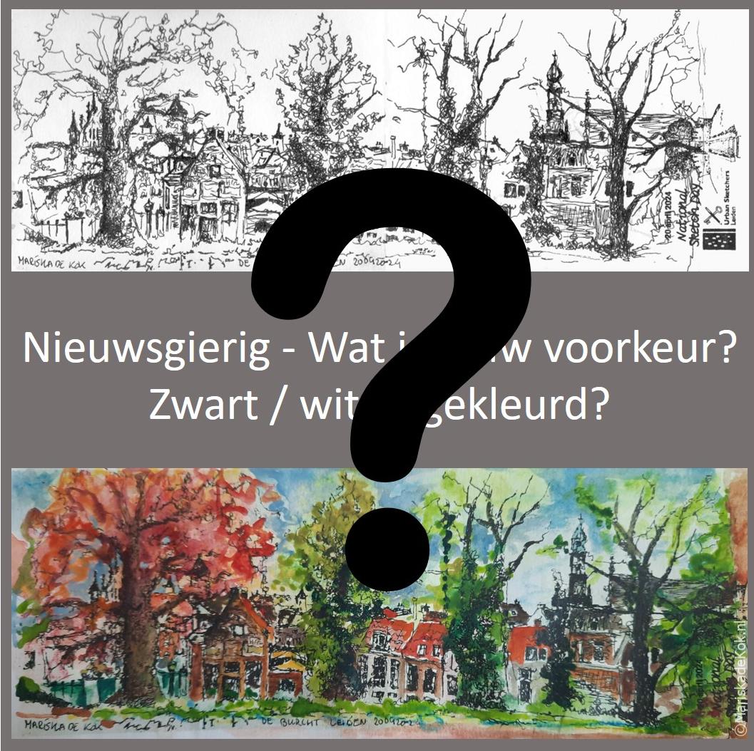 Wat is jou mening? Ik kan niet kiezen. Hulp welkom.