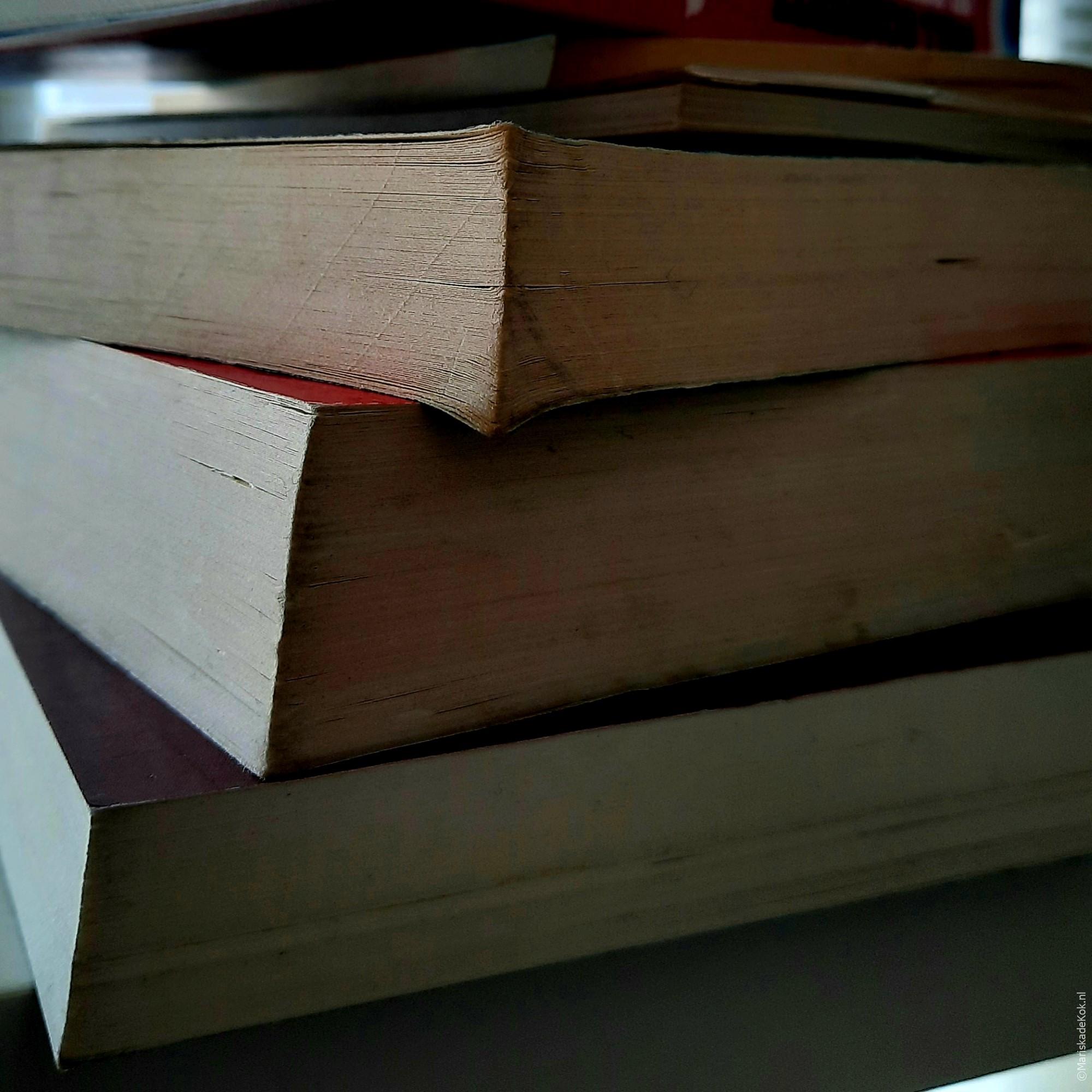 Woensdag, schrijfdag. Met de billen bloot – 47.512 woorden.